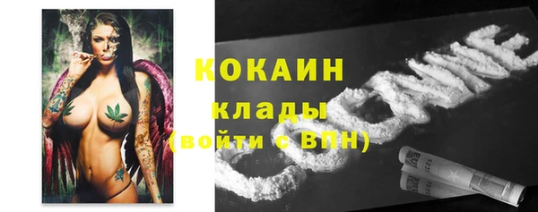 СК Алексин