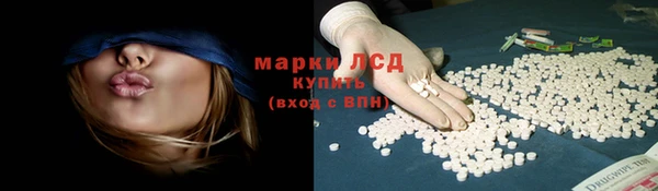 СК Алексин