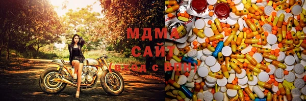 СК Алексин