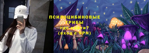 СК Алексин