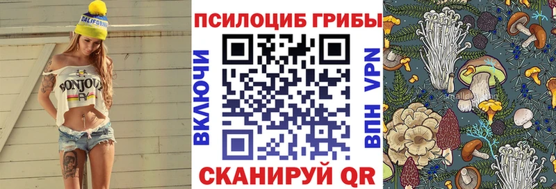 магазин продажи наркотиков  Нижние Серги  Галлюциногенные грибы MAGIC MUSHROOMS 