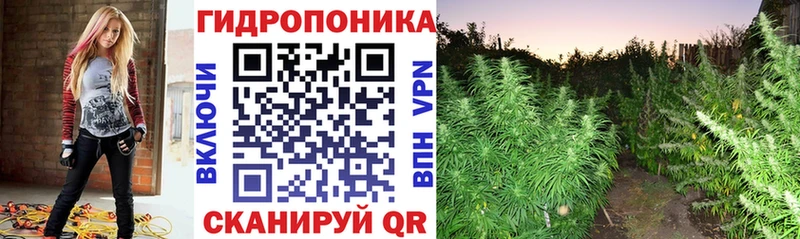 Конопля семена  Нижние Серги 